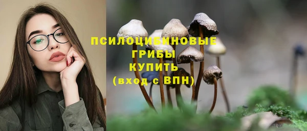 а пвп мука Абаза