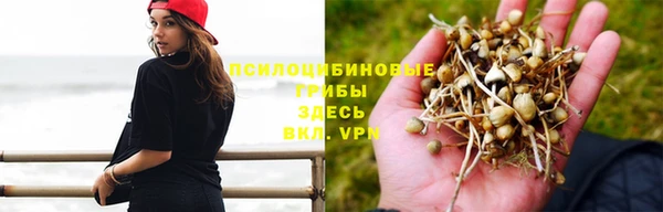 а пвп мука Абаза