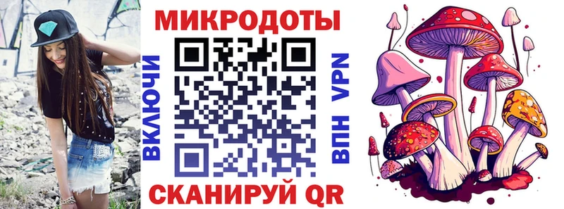 Галлюциногенные грибы Psilocybine cubensis  Черногорск 